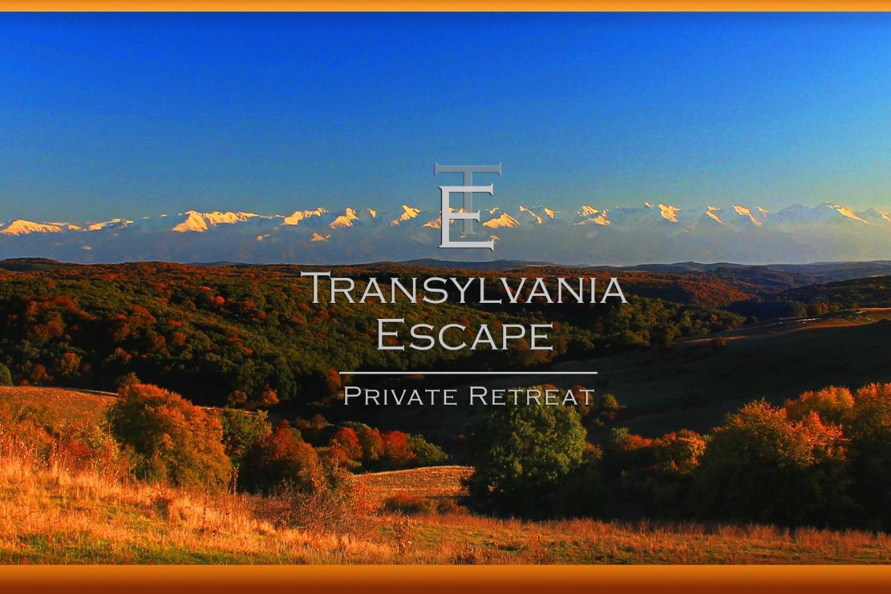 Appartamento Transylvania Escape Richisu Esterno foto