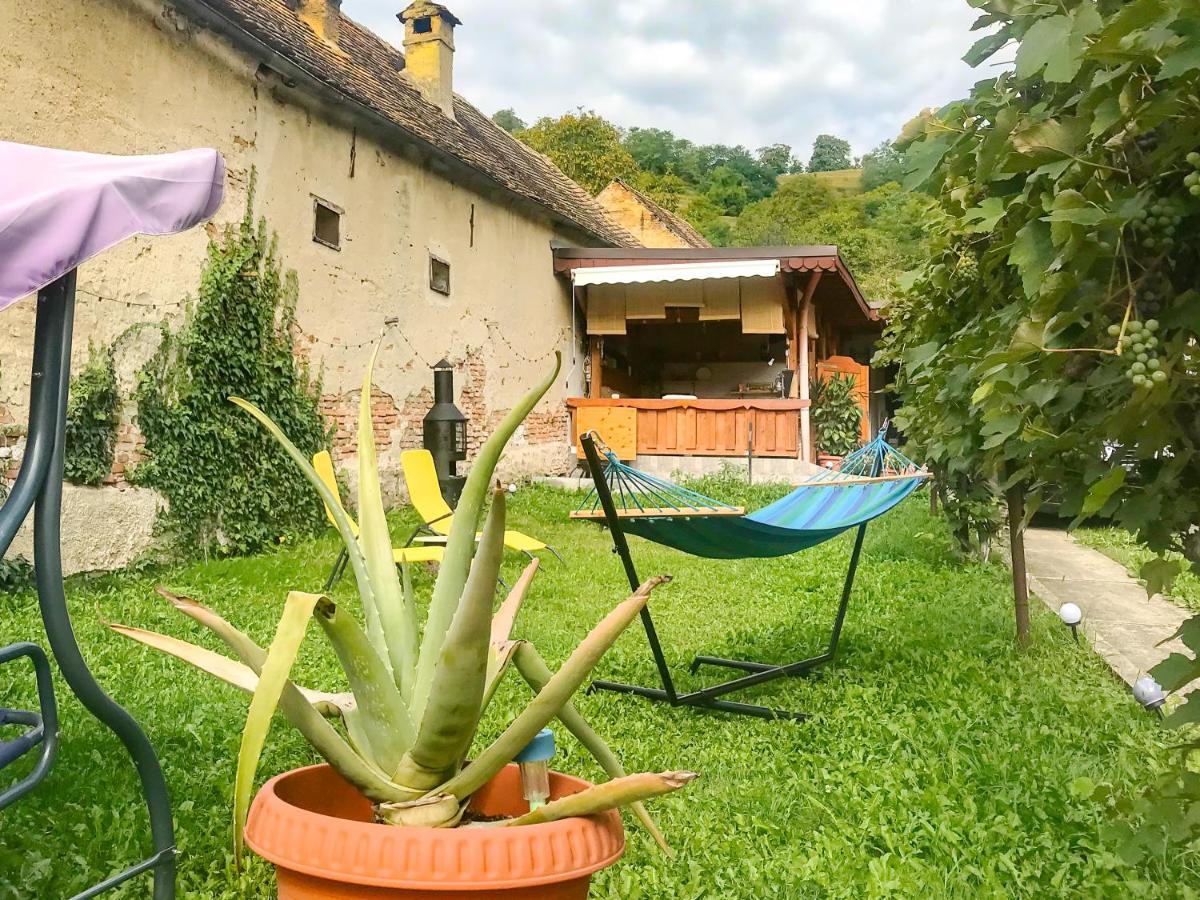 Appartamento Transylvania Escape Richisu Esterno foto