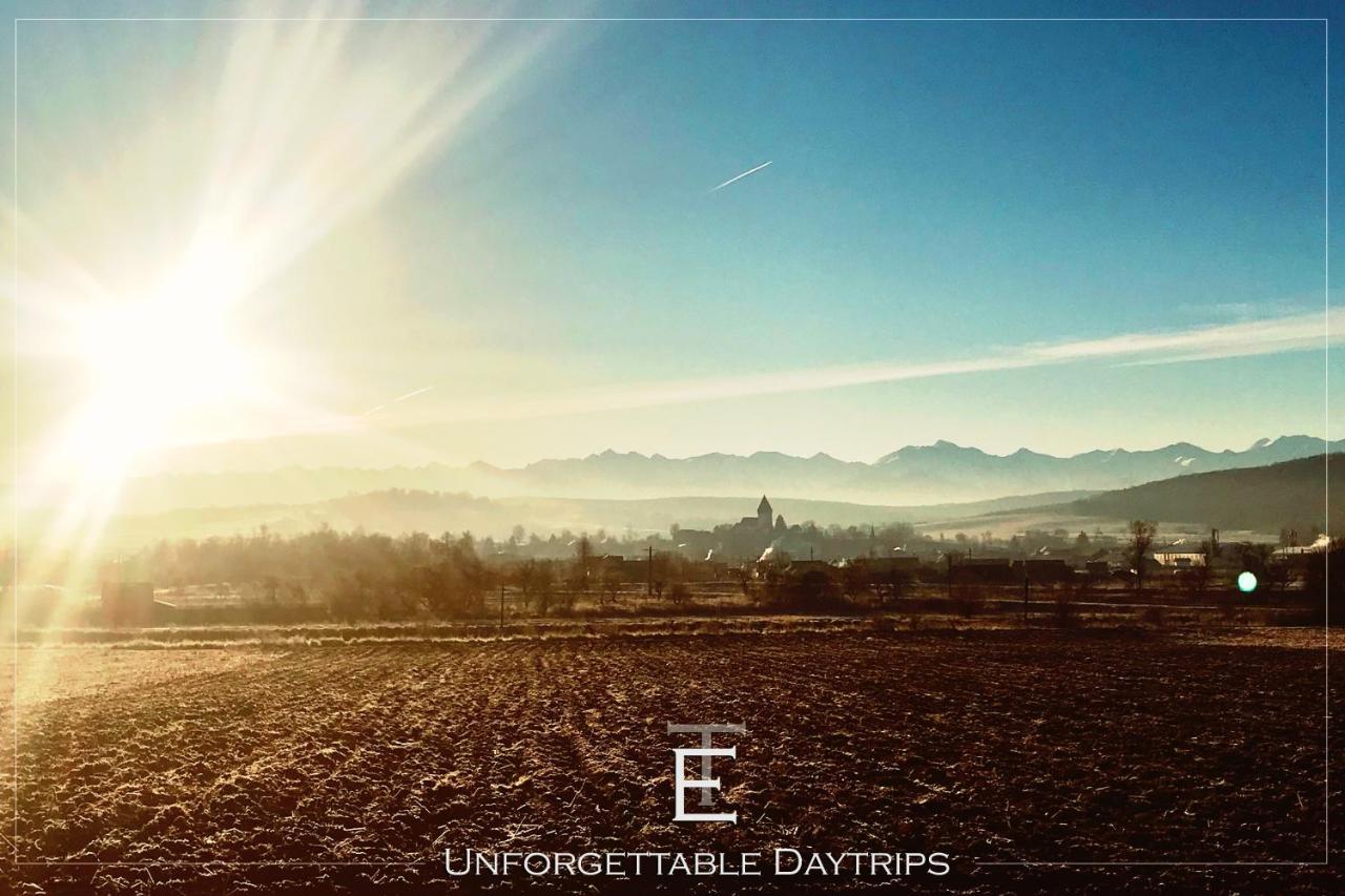 Appartamento Transylvania Escape Richisu Esterno foto
