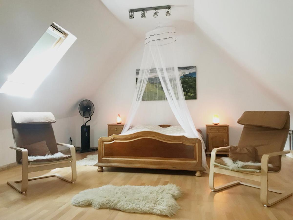 Appartamento Transylvania Escape Richisu Esterno foto