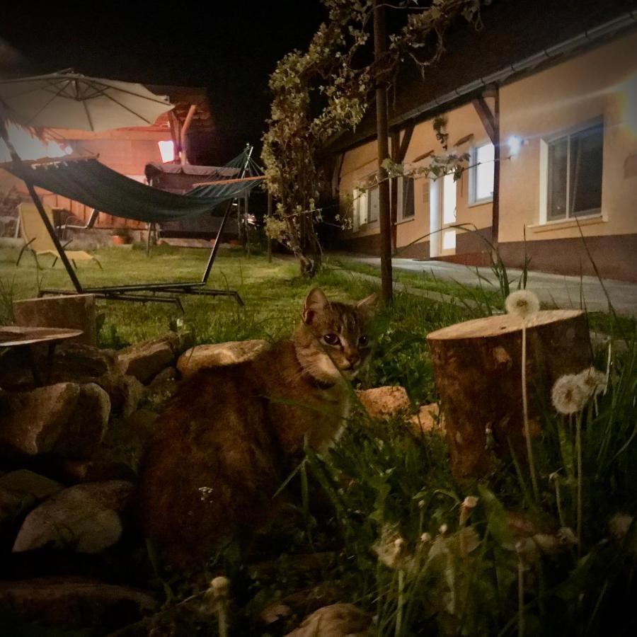 Appartamento Transylvania Escape Richisu Esterno foto