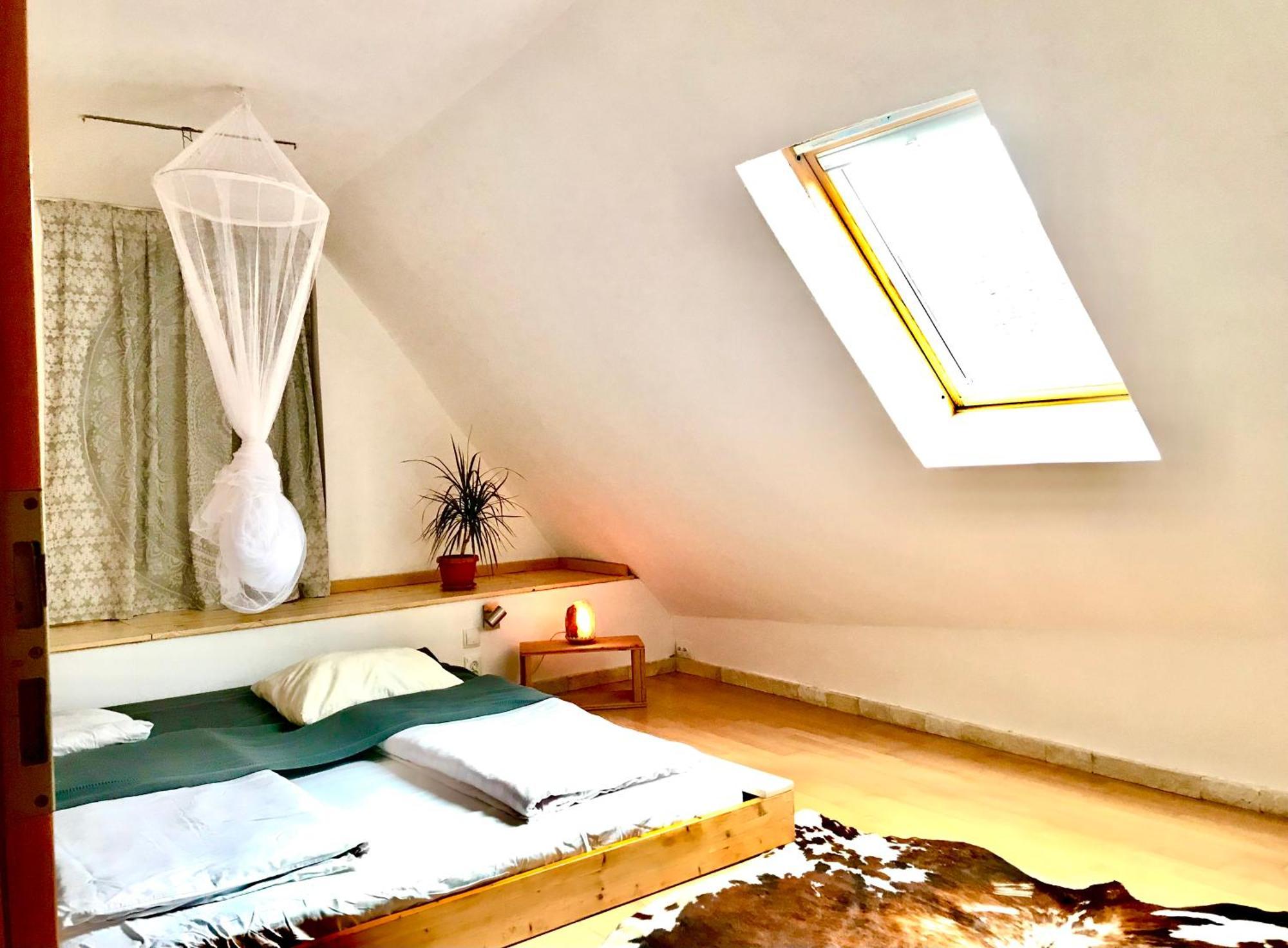 Appartamento Transylvania Escape Richisu Esterno foto